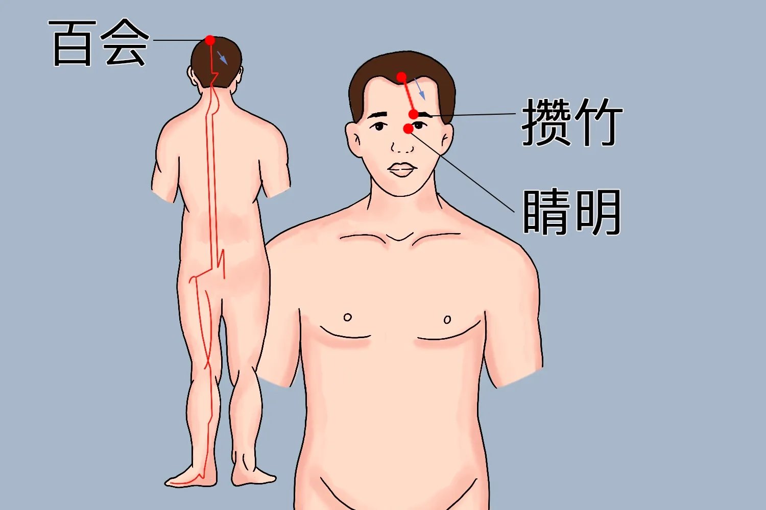 后脑头部经络图