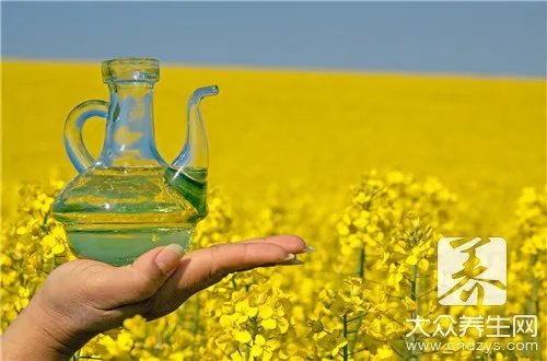 棉籽油的攻效与作用是什么?