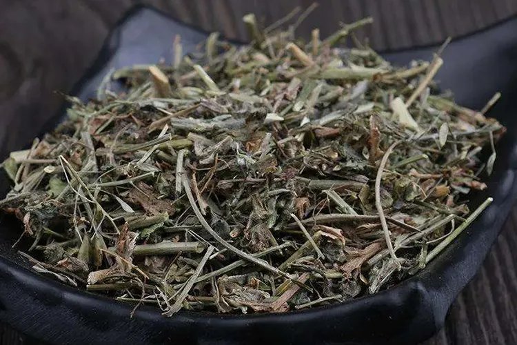 荠菜图片和功效与作用