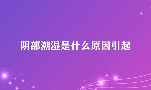 阴部潮湿是什么原因引起
