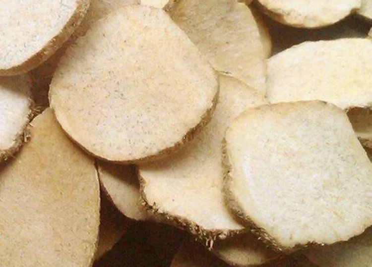 泽泻的功效与作用