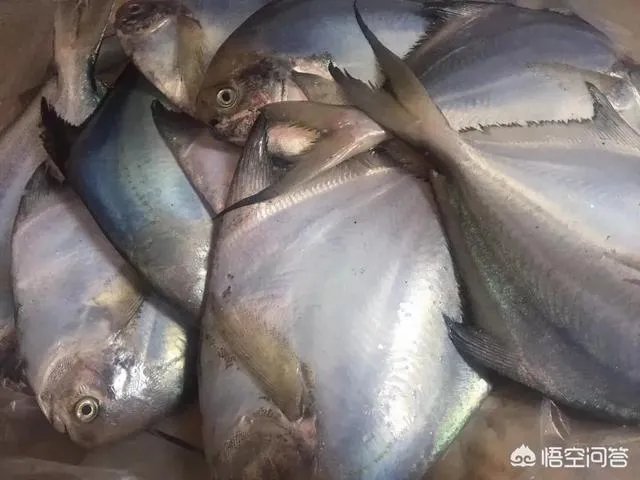 汕头有什么好玩的地方?