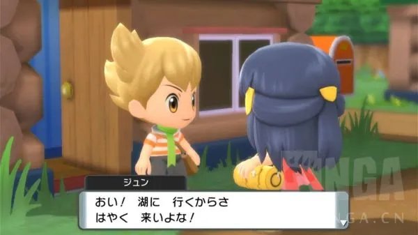 《宝可梦晶灿钻石明亮珍珠》图文攻略 一周目全流程图文攻略