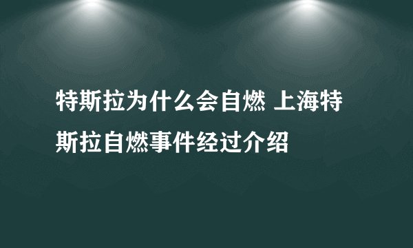 特斯拉为什么会自燃 上海特斯拉自燃事件经过介绍