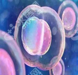 首都医科大学附属北京妇产医院试管婴儿医生哪位好?