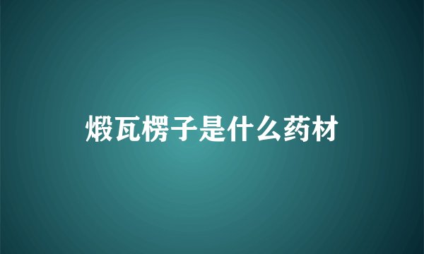 煅瓦楞子是什么药材