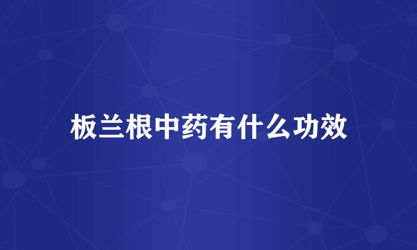板兰根中药有什么功效
