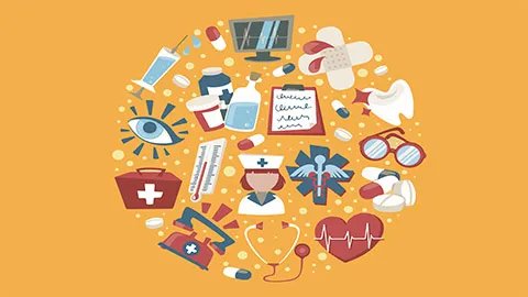 黑蚂蚁的功效与作用