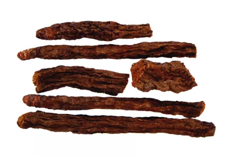 锁阳的功效与作用图片