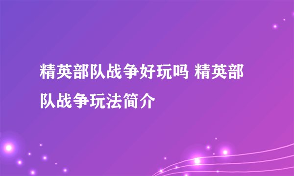 精英部队战争好玩吗 精英部队战争玩法简介