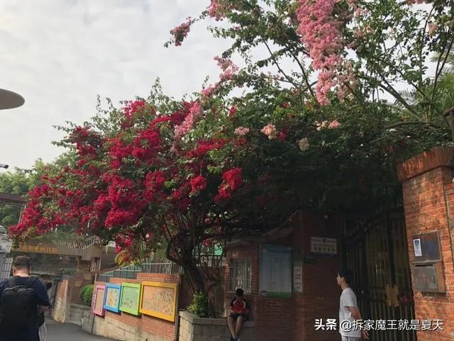 世界上最美的风景图片？