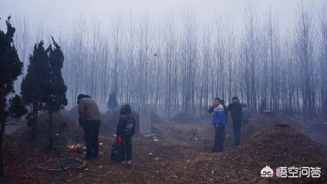 年味该如何理解?