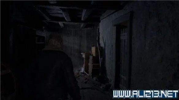 《生化危机4重制版》全章节攻略图文流程详解 全支线全物品收集攻略