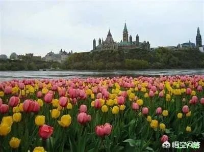 加拿大首都叫什么