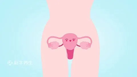 外阴炎症状有哪些症状