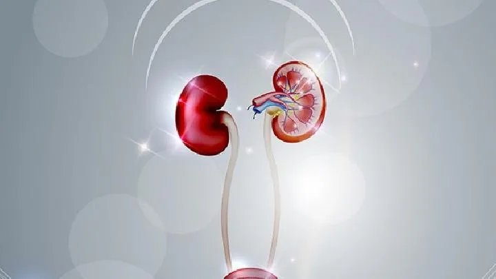 怎样预防尿毒症呢