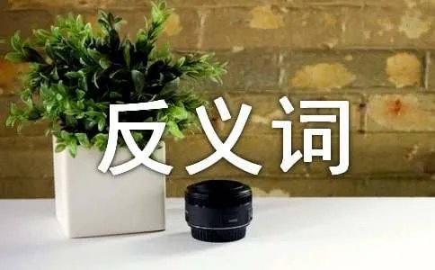 珍贵的反义词是什么呢