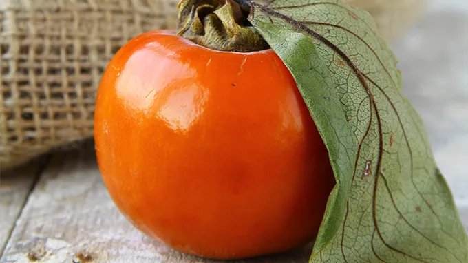 柿子不能和什么一起吃