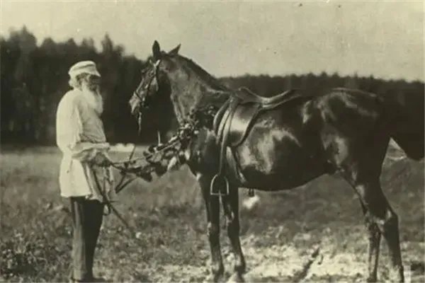 跳水的作者是谁：列夫·尼古拉耶维奇·托尔斯泰（俄国作家）