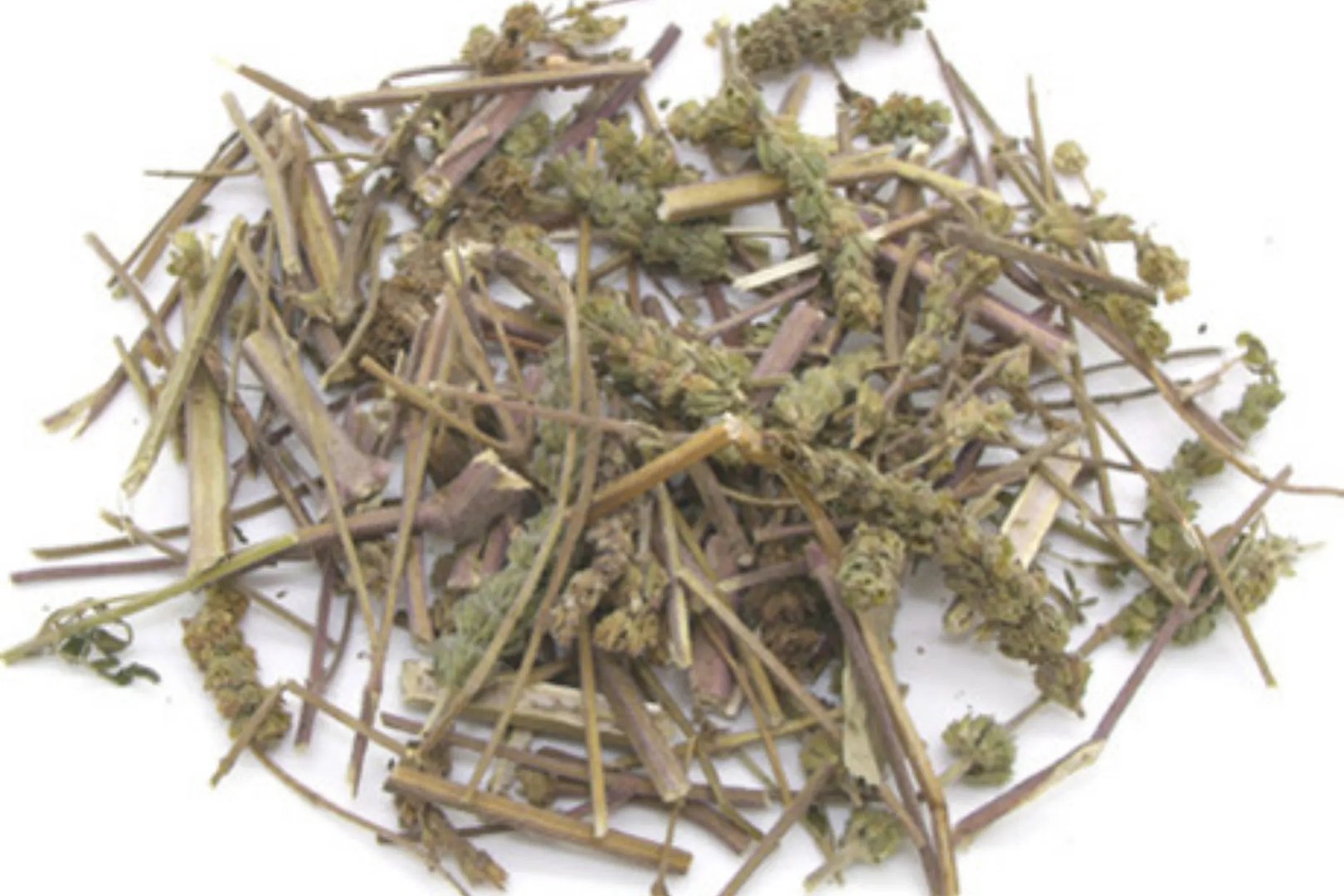 荆芥的功效与作用图片