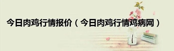 今日肉鸡行情报价（今日肉鸡行情鸡病网）