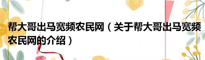 帮大哥出马宽频农民网（关于帮大哥出马宽频农民网的介绍）