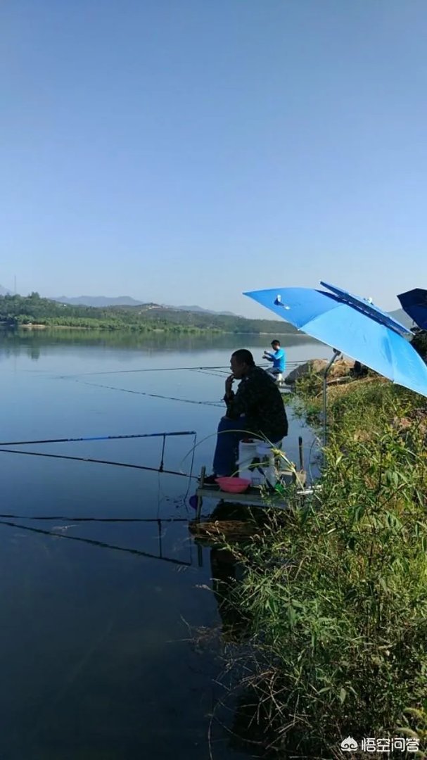 开个渔具店怎么样?