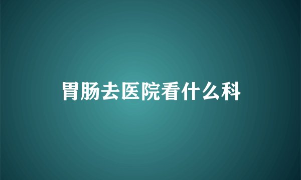 胃肠去医院看什么科