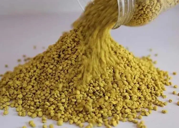 油菜花粉的功效与作用