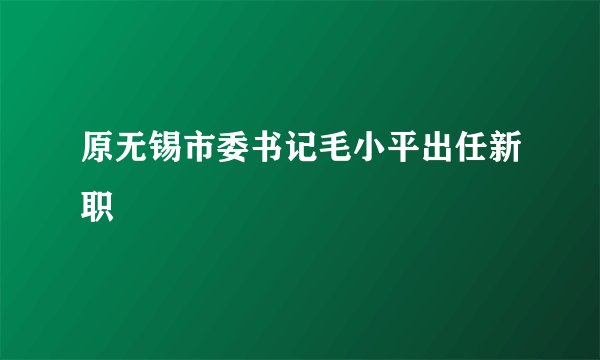 原无锡市委书记毛小平出任新职