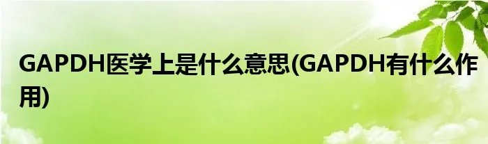 GAPDH医学上是什么意思(GAPDH有什么作用)