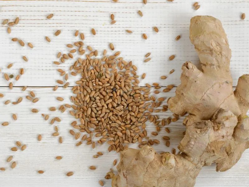 姜汤有什么作用