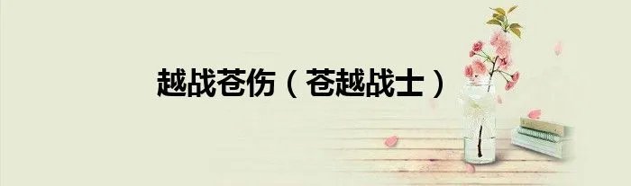 越战苍伤（苍越战士）