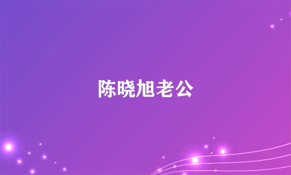 陈晓旭老公
