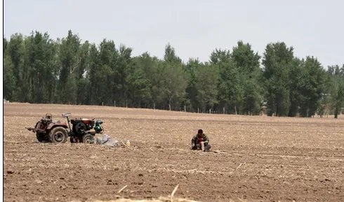 辽宁干旱农田缺墒是怎么回事?