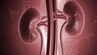 肾阴虚的症状有哪些？