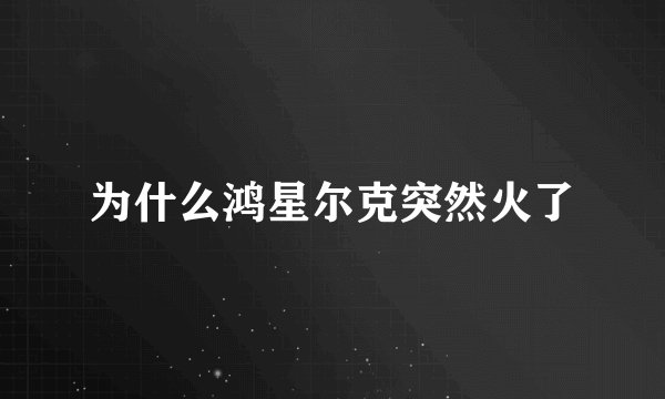 为什么鸿星尔克突然火了