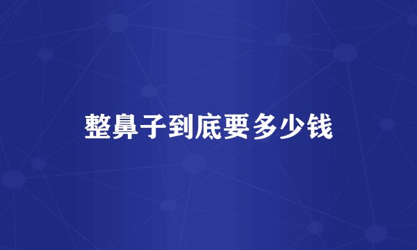 整鼻子到底要多少钱