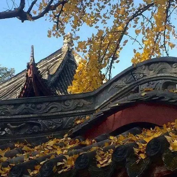 屋脊是什么意思