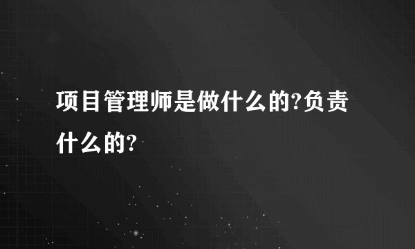 项目管理师是做什么的?负责什么的?