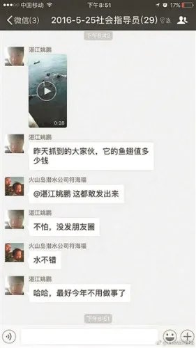 晒捕鲸鲨视频被查是怎么回事？