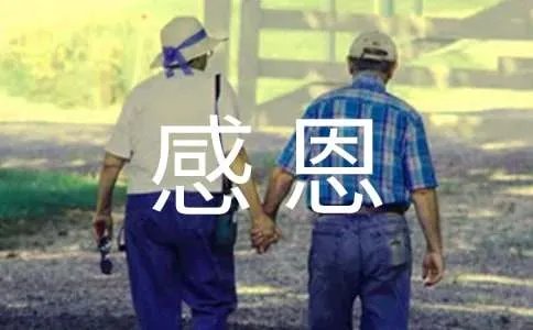 感恩的作文