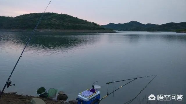 开个渔具店怎么样?