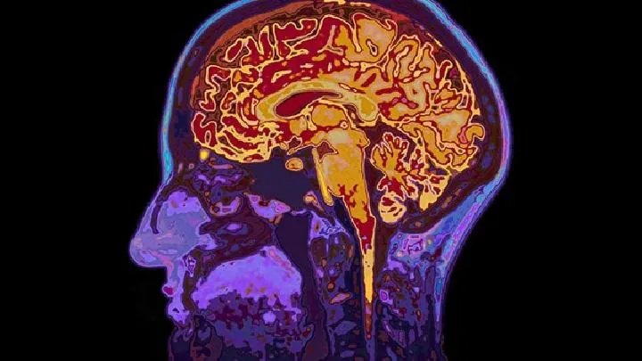 缺血缺氧性脑病的饮食护理