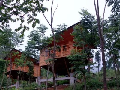 吉屋是什么意思