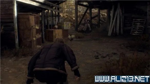 《生化危机4重制版》全章节攻略图文流程详解 全支线全物品收集攻略