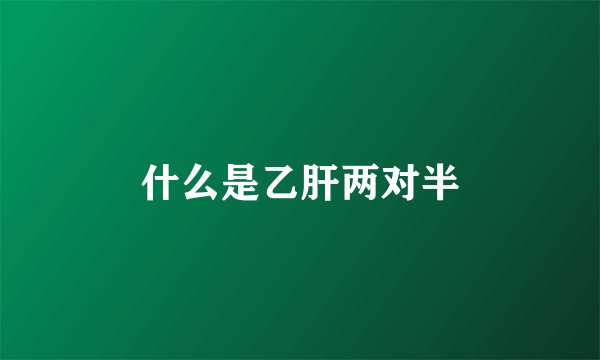 什么是乙肝两对半