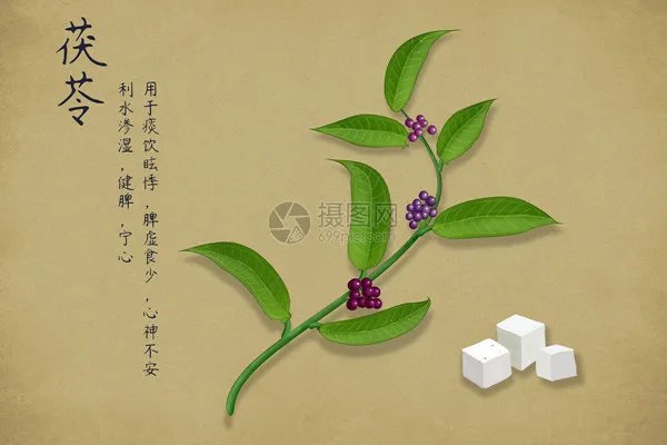 茯苓有什么副作用