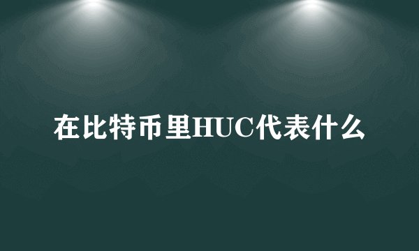 在比特币里HUC代表什么