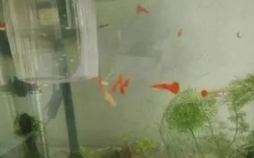 万年历2023年日历11月 日历2023年11月日历表黄道吉日万年历